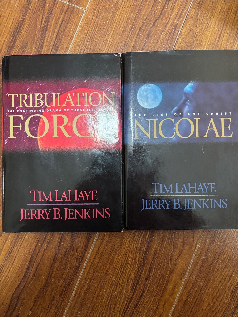 2Book Bundle by Tim LaHaye & Jerry B. Jenkins